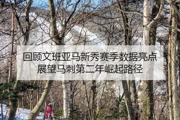 hui-gu-wen-ban-ya-ma-xin-xiu-sai-ji-shu-ju-liang-dian-zhan-wang-ma-ci-di-er-nian-jue-qi-lu-jing-2-498.jpg